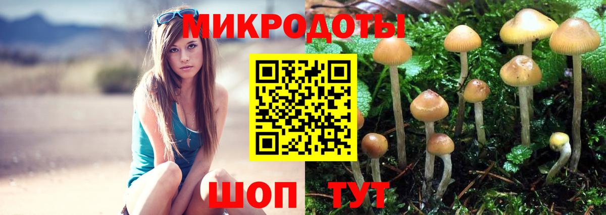 продажа наркотиков  Галлюциногенные грибы Psilocybe  Вход с VPN  Людиново 